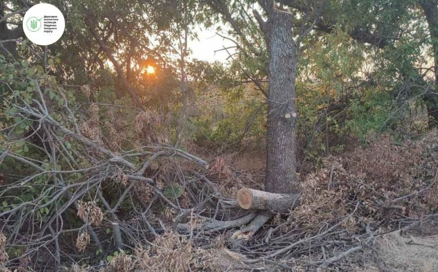  ������ ����� ����������� ������� ����� ���� ����� 