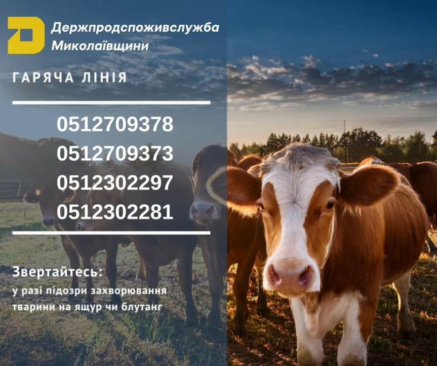 ����: 0512.com.ua