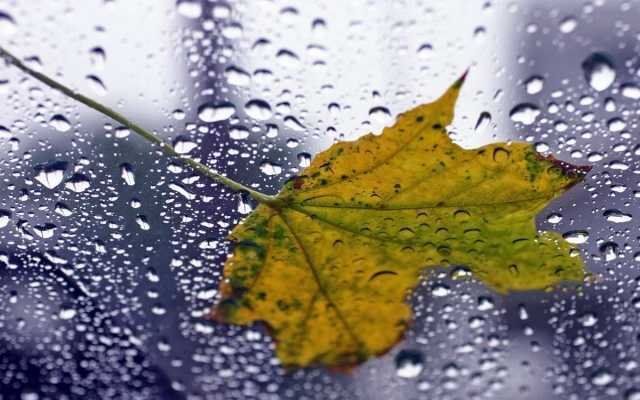 ����: 0512.com.ua