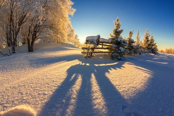  �������� ���� ������ ����� ������ ������� ���� 