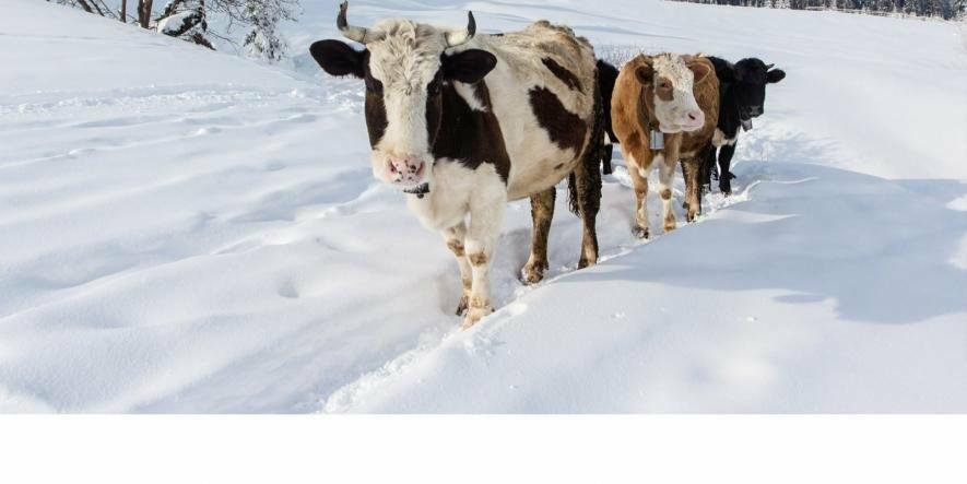 ����: 0512.com.ua