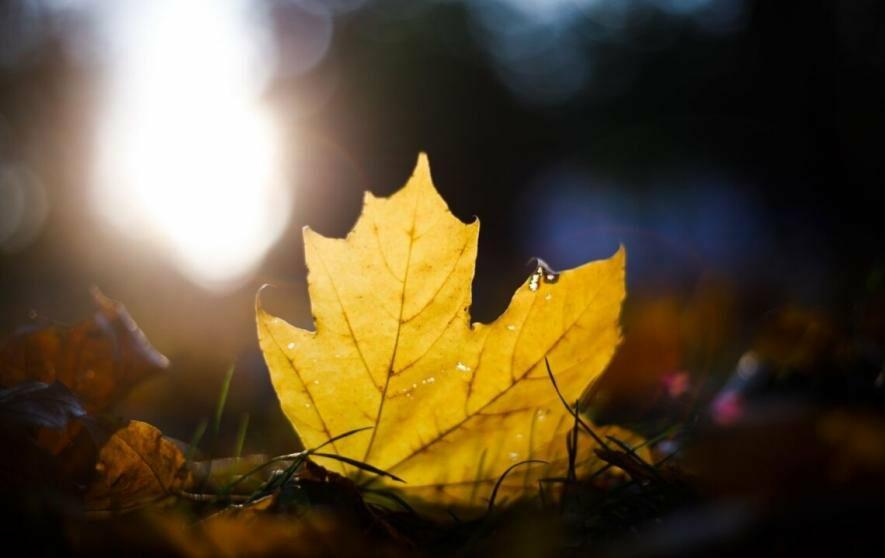  ������ ������������ ������ ������� ��������� 