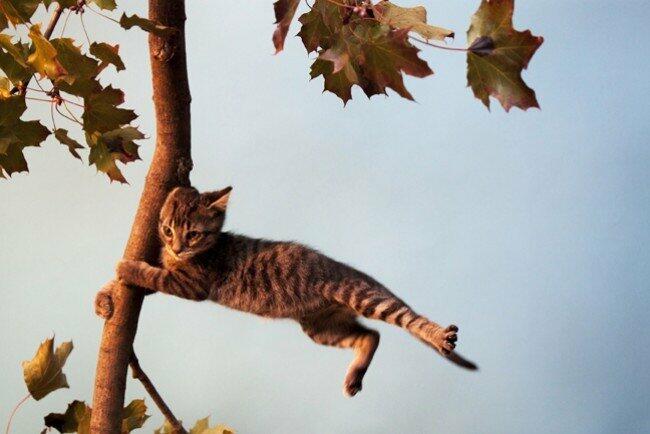 ����: 0512.com.ua