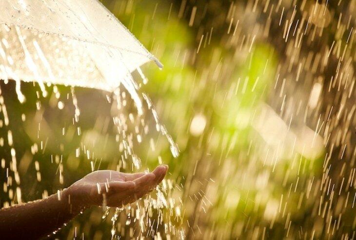  ������� ��� ������ ������� 