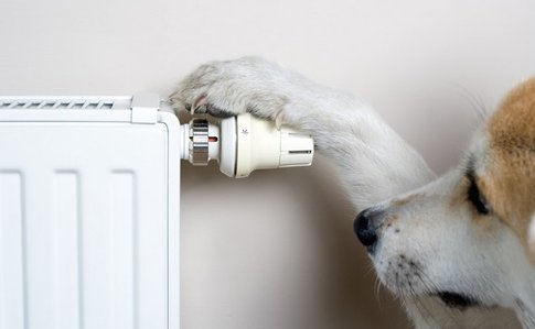  ����� �������� ����������� �������� ����� 260 ��� 