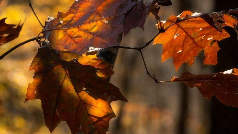  ����� ����� ������ ����������� 