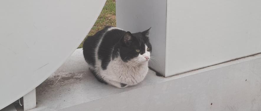  ������ ���� ������ ������� ������� 