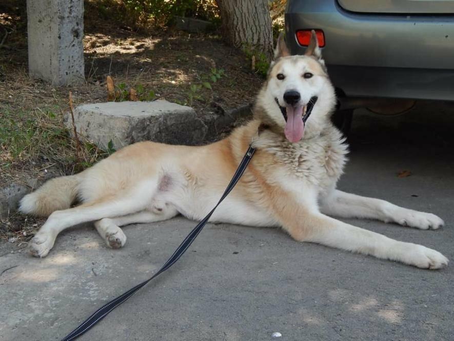  ������������ ����� ������� ������ �������� ������ ����� ����� 