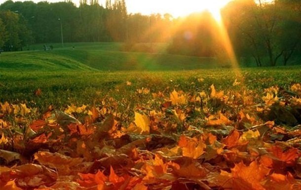  ����� ������ ������� �������� 