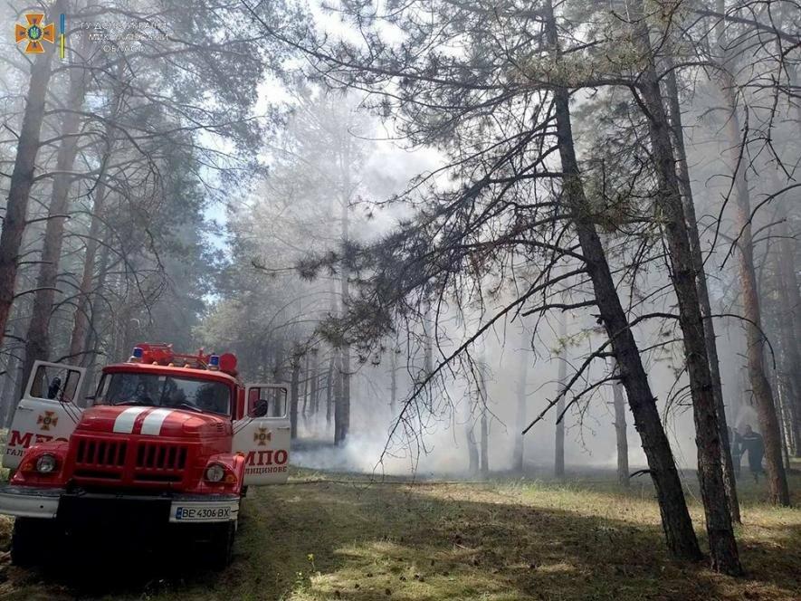  ������ ���� ����������� ������� ����� ���� �������� ������� 