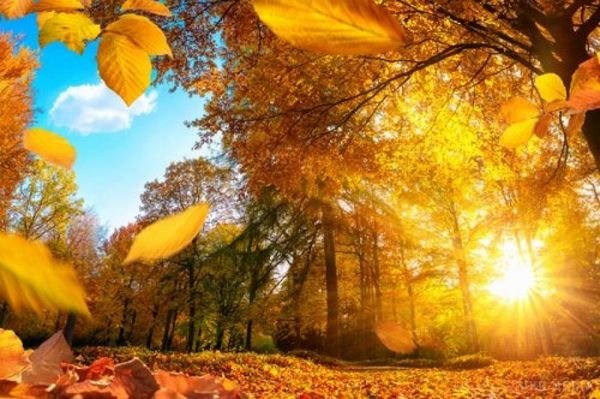  ���� ������� ������ ������� ������ 