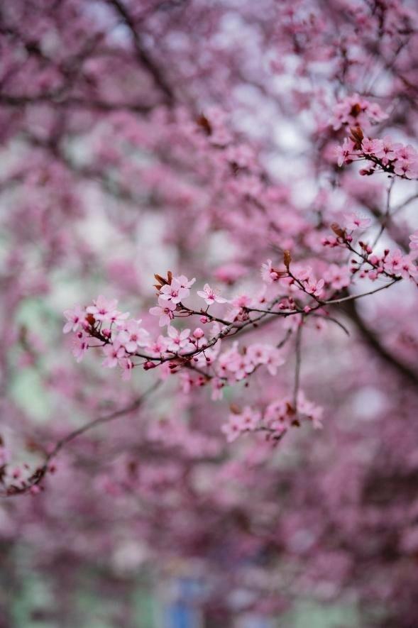 ����: 0512.com.ua