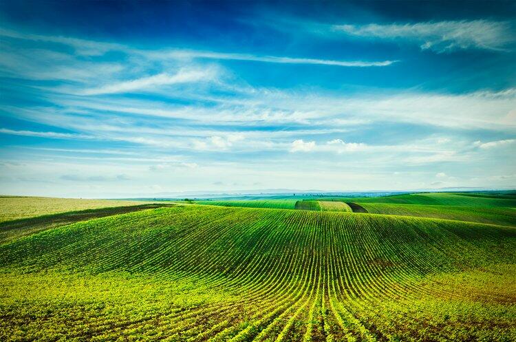  ����� ����� �������� ������ 