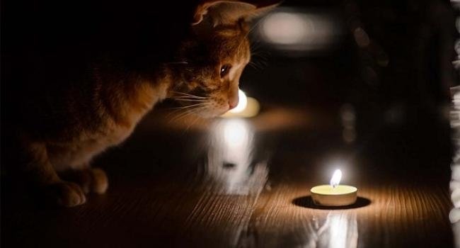  ������ ���������� ���� �����������㳿 ������� 