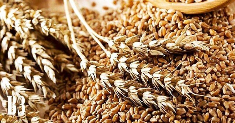  ���� ������� ������������ �� ����� ������� ���� ����� 