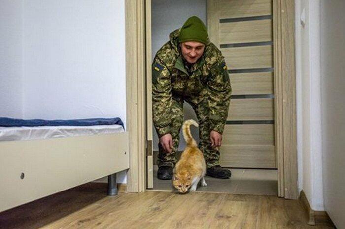 ����: 0512.com.ua