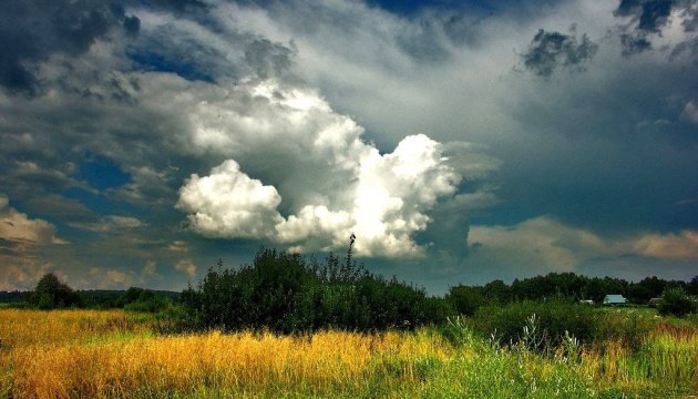  ������� ��� ����� ������ ������� ������ 