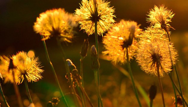  ��� ������ ����� ���������� ������� ������ ����� 