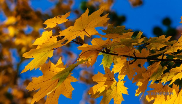  ��� ������ ����� ���������� ������ ���� ��������� 