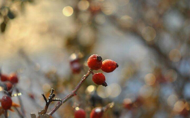 ����: 0512.com.ua