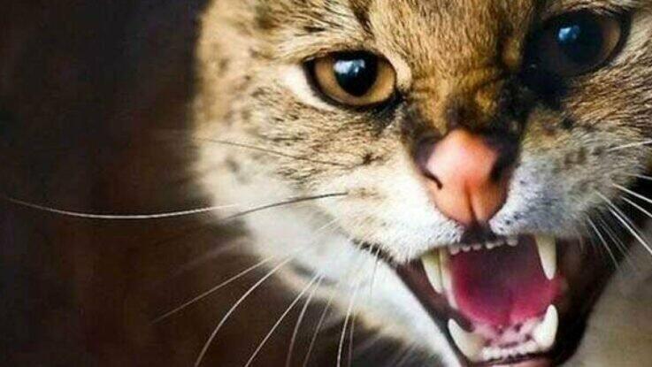 ����: 0512.com.ua