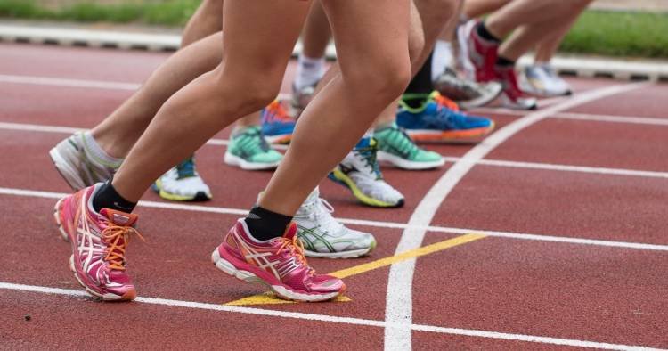  ������� �������� ���������� �������������� �������� �� ���� 