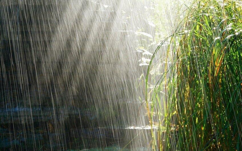 ����: 0512.com.ua