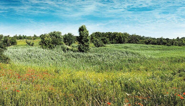  ����������� �������� ������ ����������� 885 ������� ������� ����� 