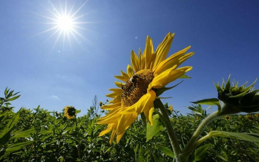  �������� ����� ��������� ������ ����������� ������ ���� ����� 