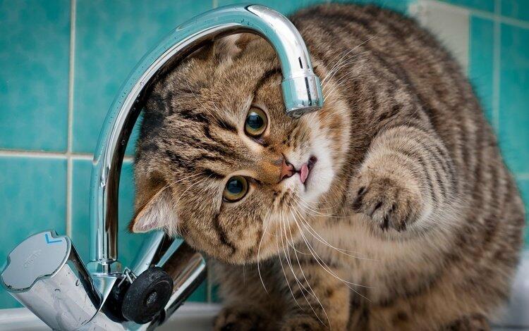  ������� ������ ���� ������� �������������� ����� ���� 