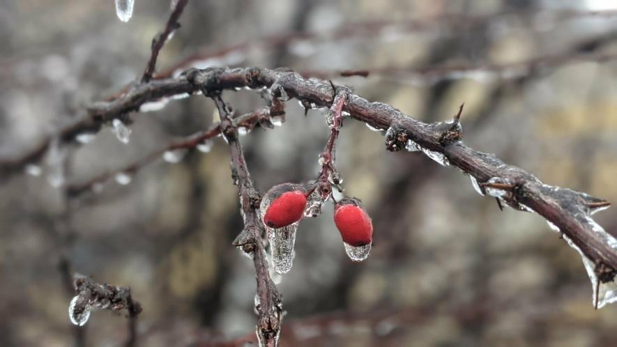  ����� ��������� ��� ������ ������ ������ ����������� ������ 