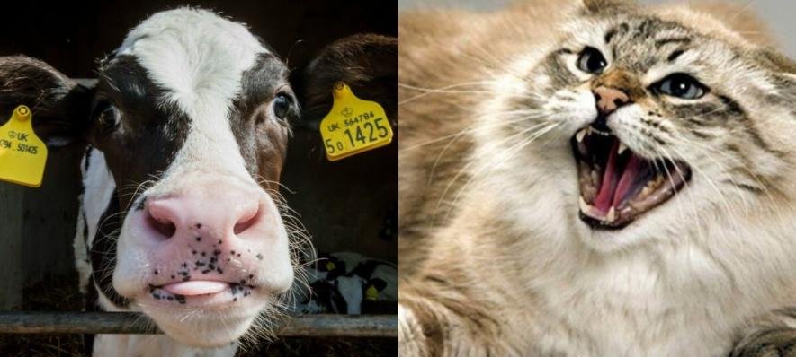 ����: 0512.com.ua