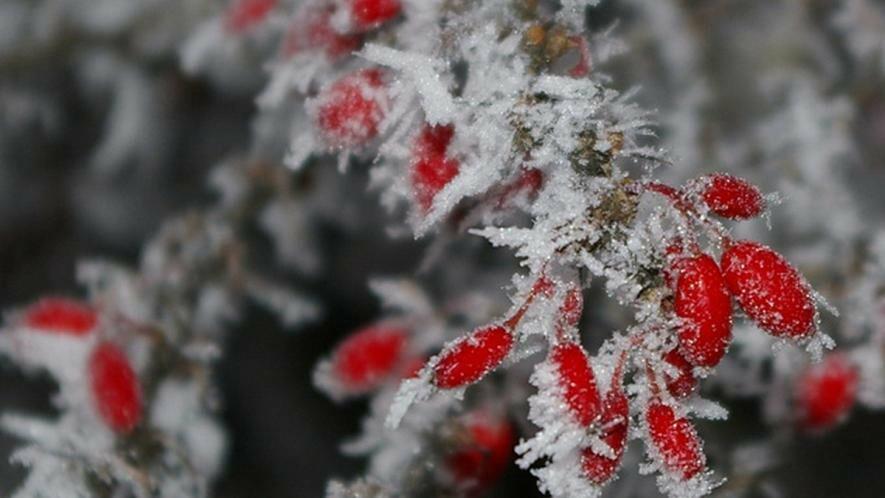  ������ ������ ����� ����� ������ ������� ���� 