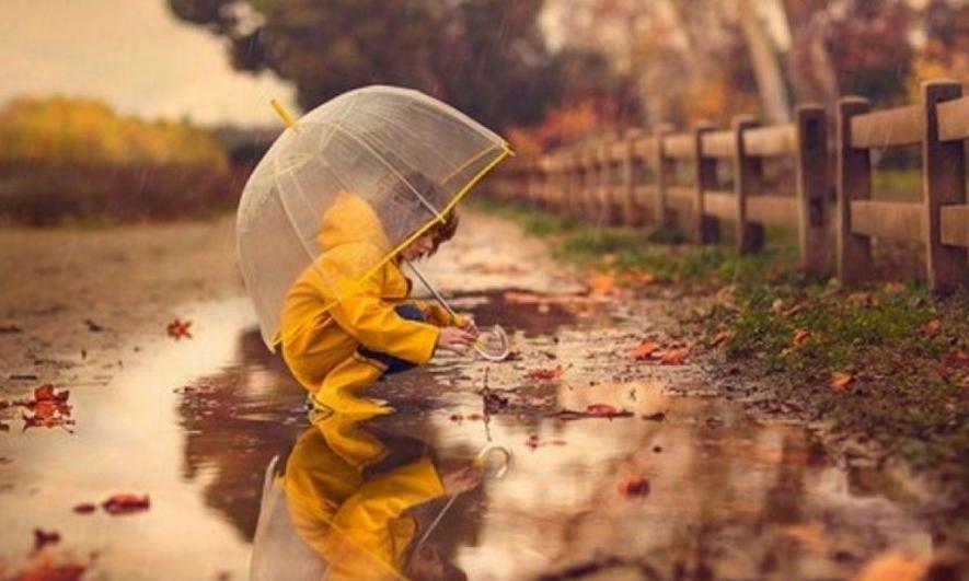  ������ �������� ������ ������� ��������� 