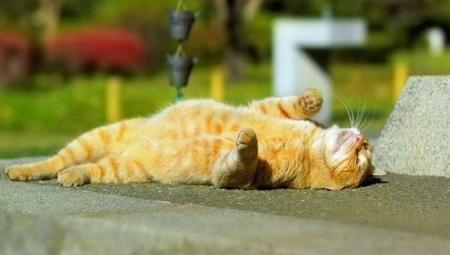  �������� ����� ��� ������ ����� ���������� �������� ����� 