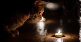  ������� �������� ����������������� 