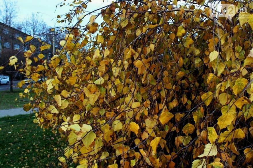  ������ ������� ���� ����� �������� ������� ���� ����� 