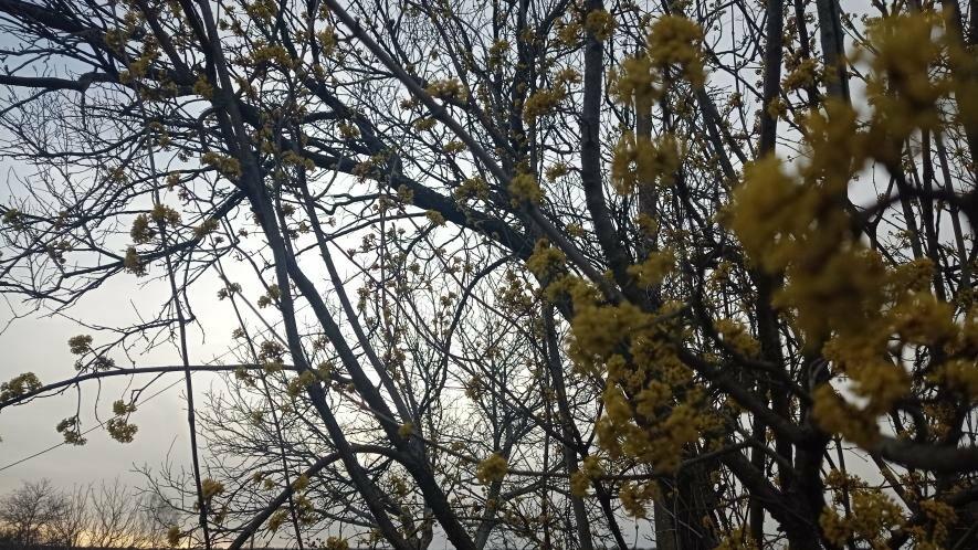  ����� ���� ������ ����������� ������� 