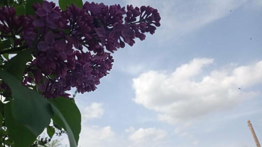  ����� ������ ����������� ������ 