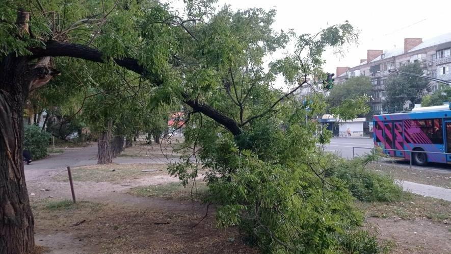  ������� ���� ���� ���� ��������� ���� ������������ ���������� 