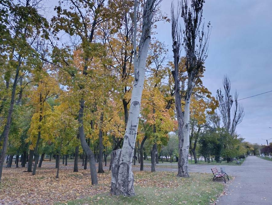 ����: 0512.com.ua