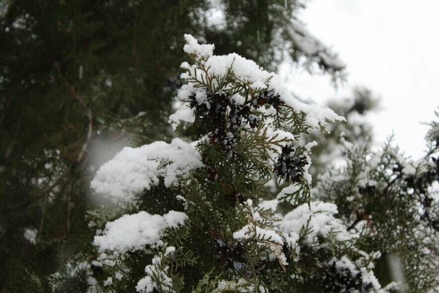  ������ ������ ���� ������ ������� ������ 