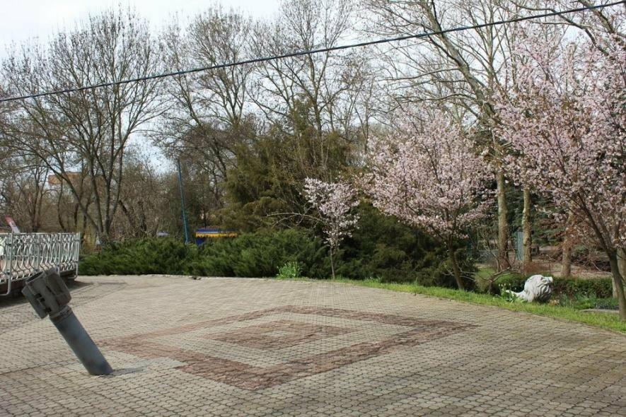  ��������� ��� ������ ������� ������� 