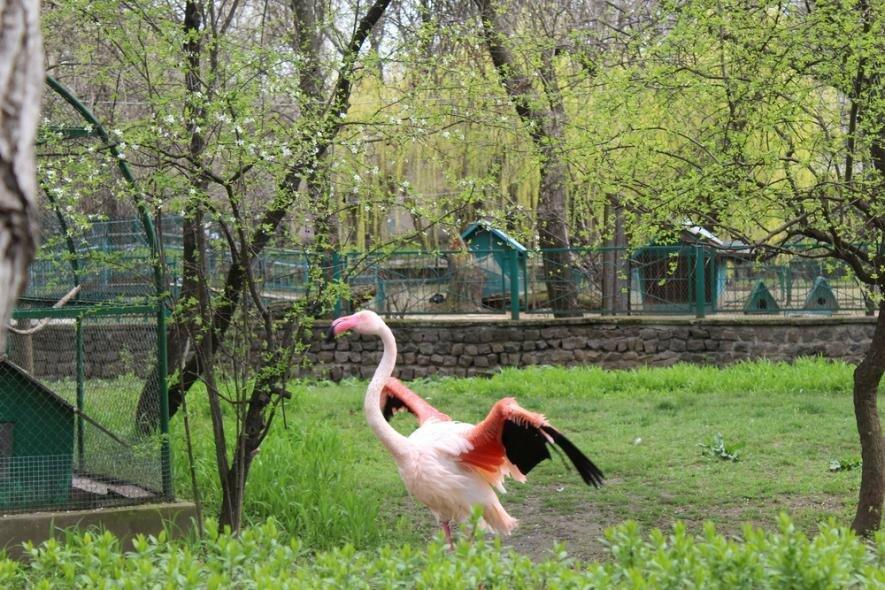  ��� ������ ����� ���������� ������ ���� ������ 