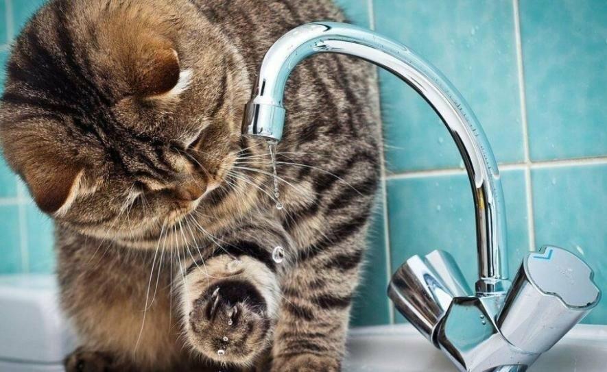 ����: 0512.com.ua