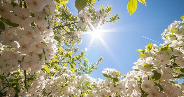  ������ ������� ������� ��������� ������ 