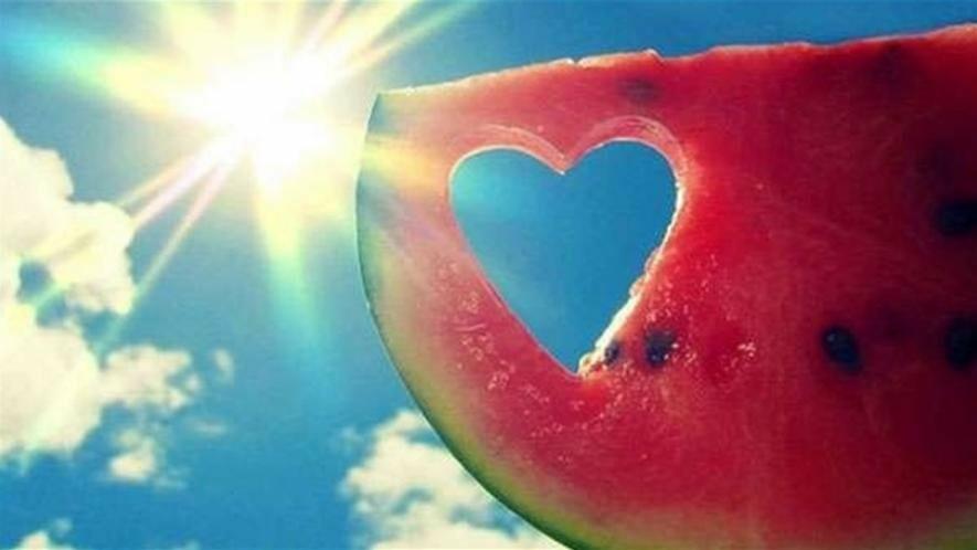  ������ ������� ����� ������� ������ ������� ��������� 