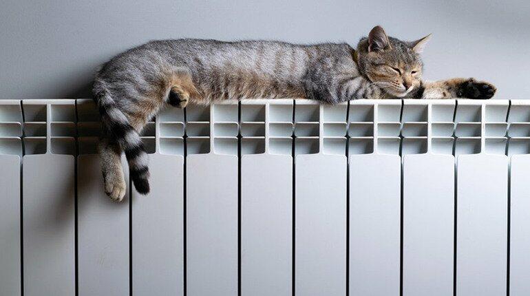 ����: 0512.com.ua