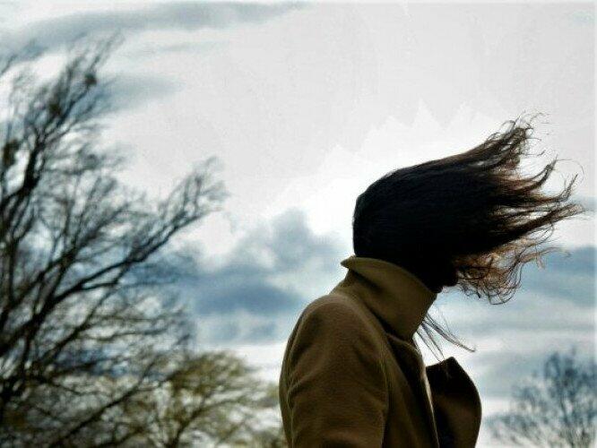  ����������� ��������� ������ ����� ��������� 