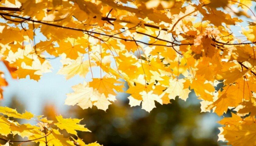  ������� ������� ����� ������ ������� ��������� 